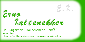 erno kaltenekker business card